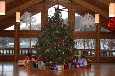 A decorated Christmas tree at the Nature Center with gifts at the bottom